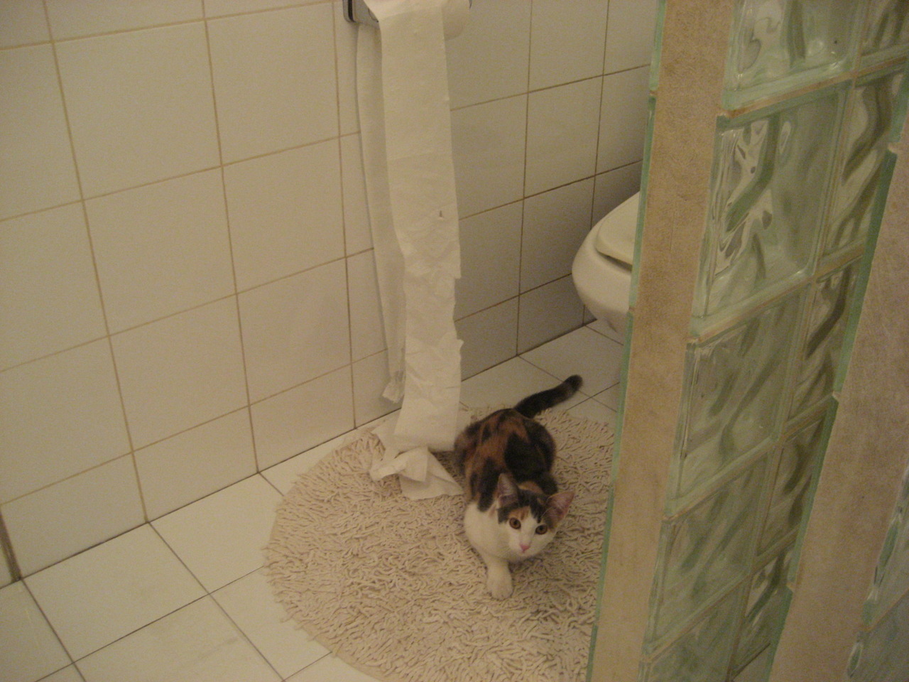 奥利维耶一记三分，刻入历史浮雕