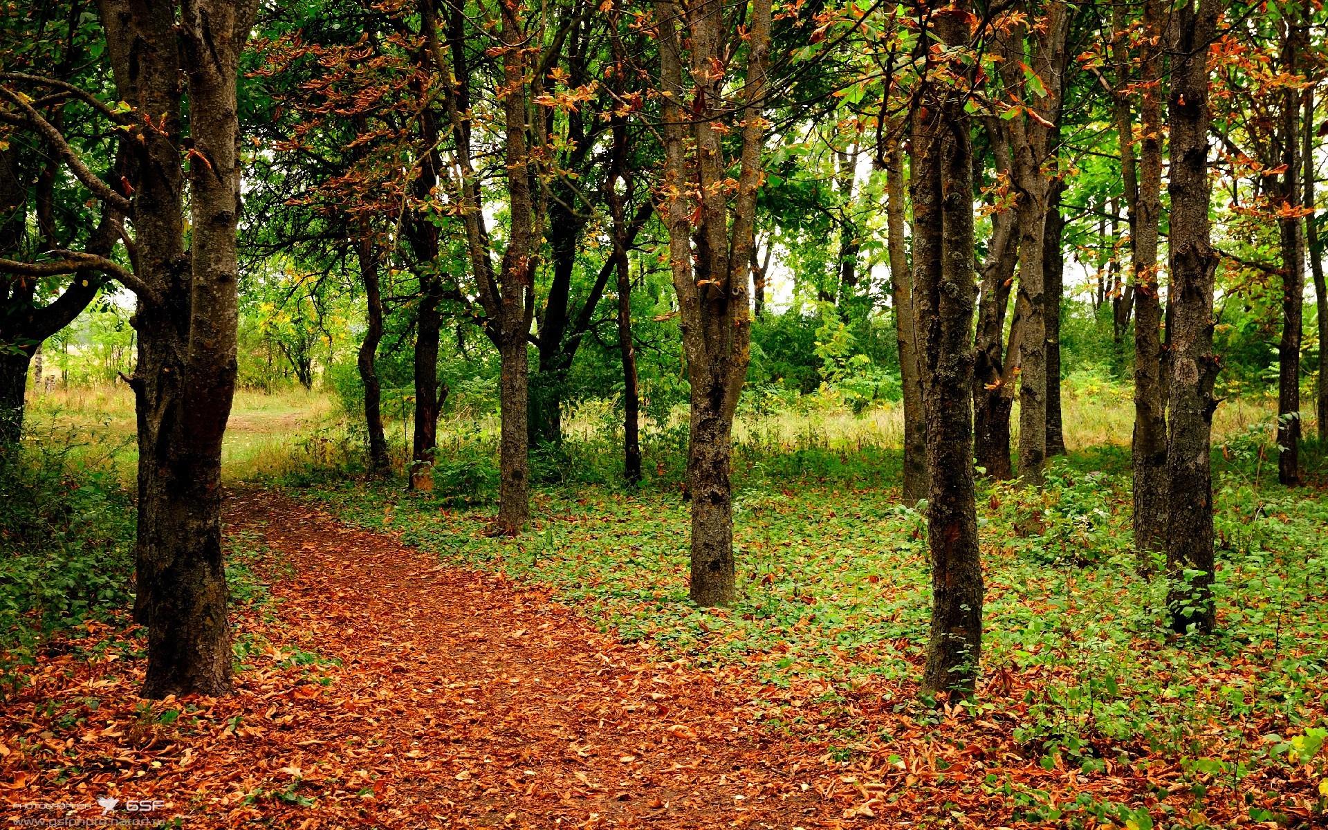 悬念丛生的史诗，哥斯达黎加冲垮贝蒂斯，梅西却打出统治级数据的夜晚