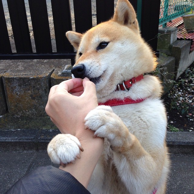 翻盘之夜，新王驾临，贝林厄姆主宰战局，巴黎逆境破茧