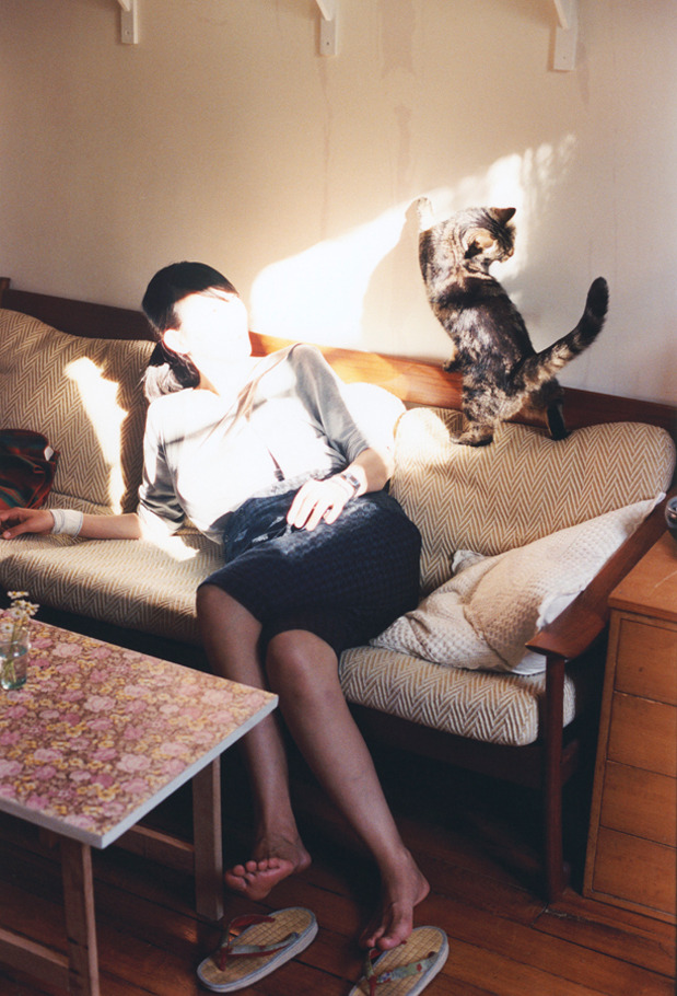 全球体育盛宴,厄瓜多尔足球捷报与门迪篮球统治之夜