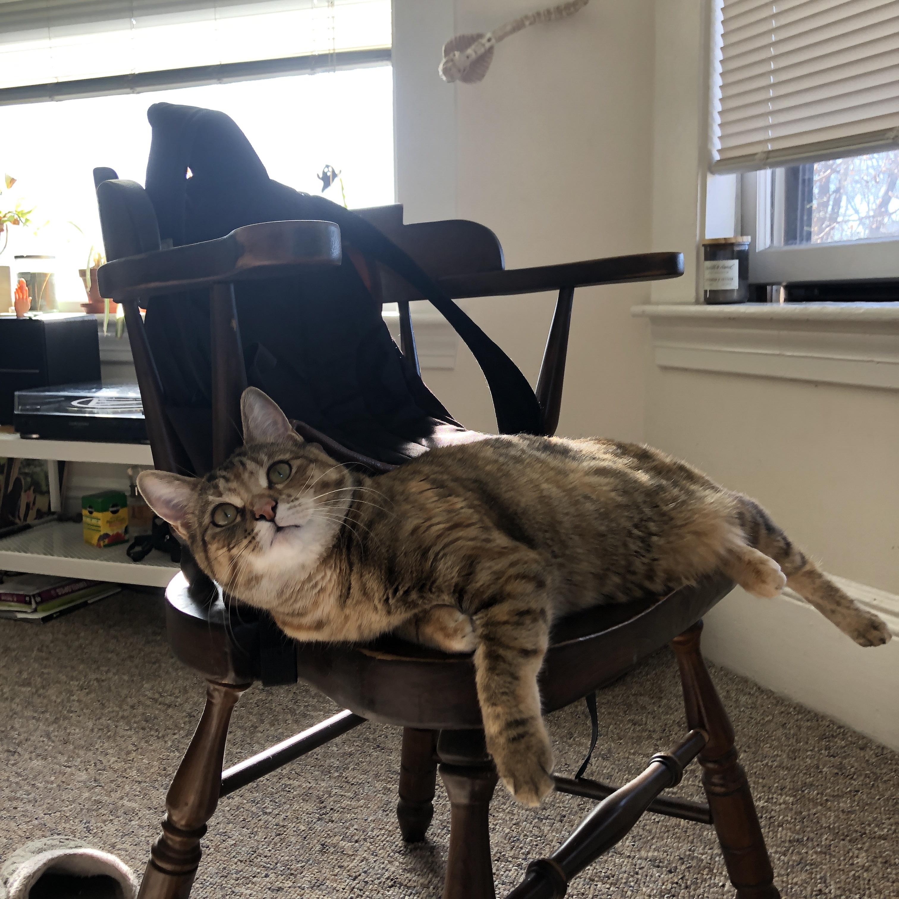 凡人的意志与不老的野心,足球世界的新杠杆