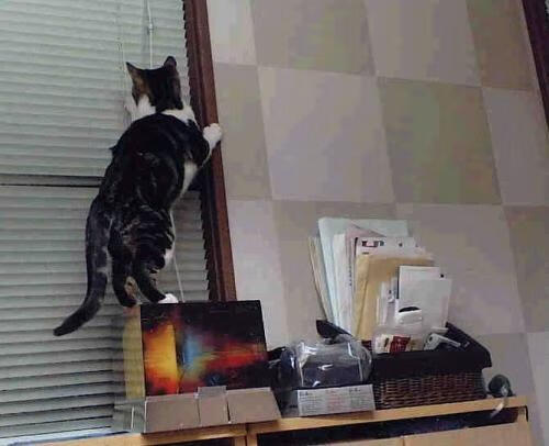 黑色闪电，小贾伦单骑救主，马刺强势晋级撕破火箭防线