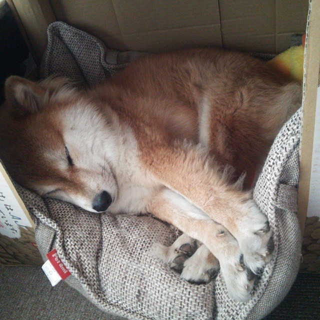 黑色闪电，小贾伦单骑救主，马刺强势晋级撕破火箭防线