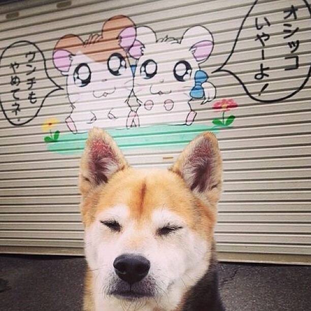 门迪叹息之墙完美封阻 马竞零封利物浦彰显战术压制