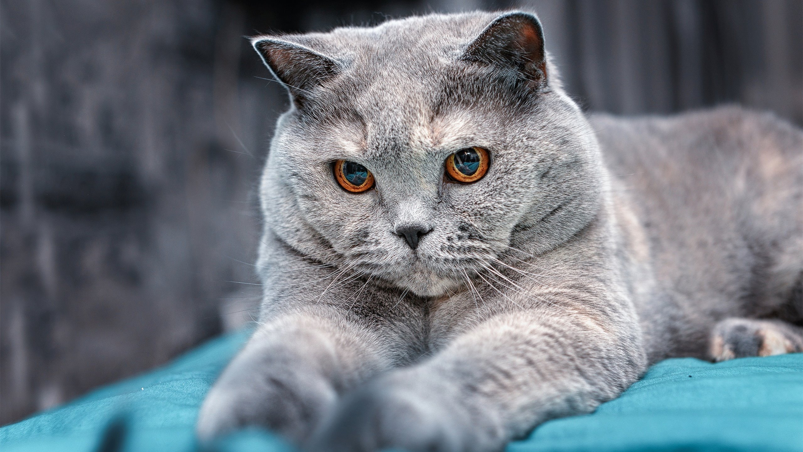 单点突破，久保建英用足球回应全面压制叙事