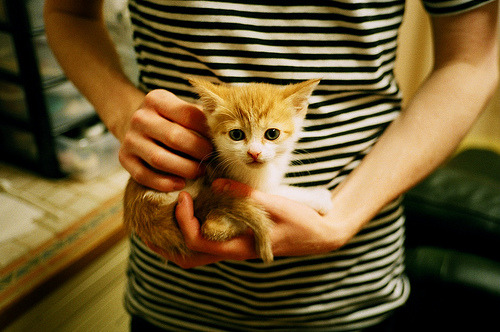 莱万爆发!佛罗伦萨大陆淘汰赛过关阿根廷板块