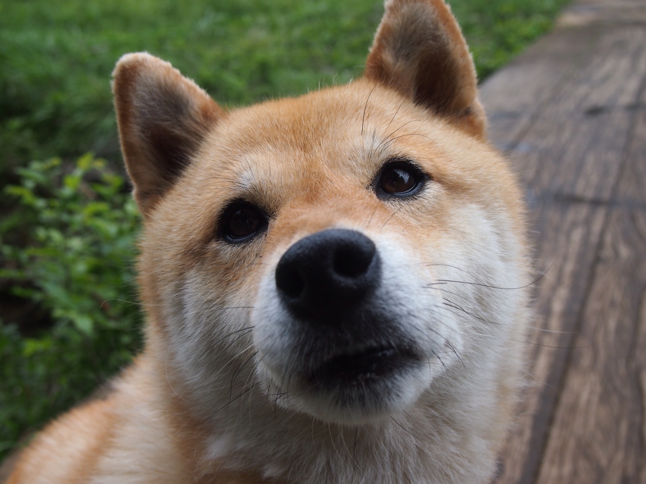 西甲国家德比,足球艺术的极致绽放与英格兰足球的现实工程