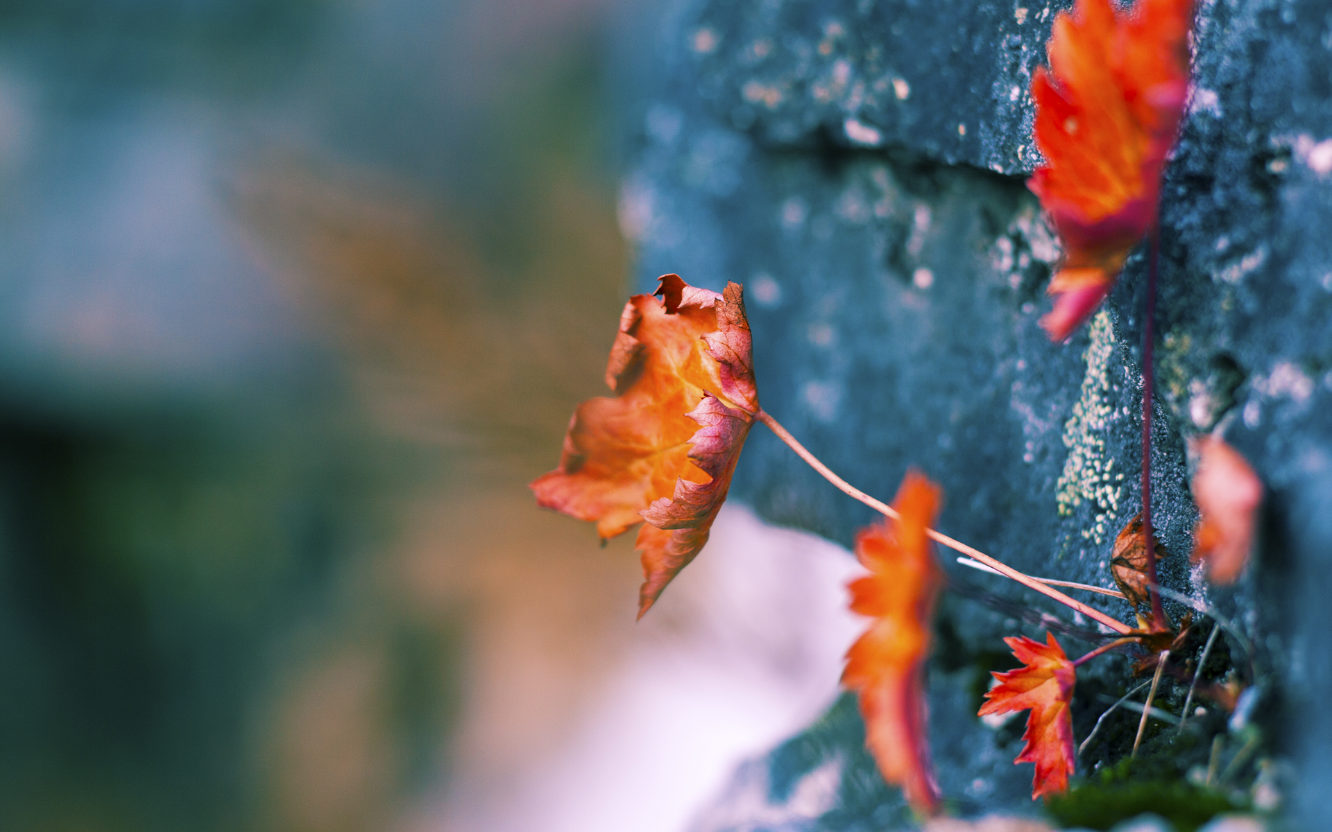 坚盾降法老,切尔西铁壁战术下,库尔图瓦如何成为终结埃及之矛的关键先生