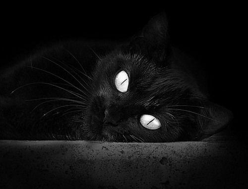 北欧童话终结控球神话,瑞典破咒之战如何震撼美加墨世界杯?