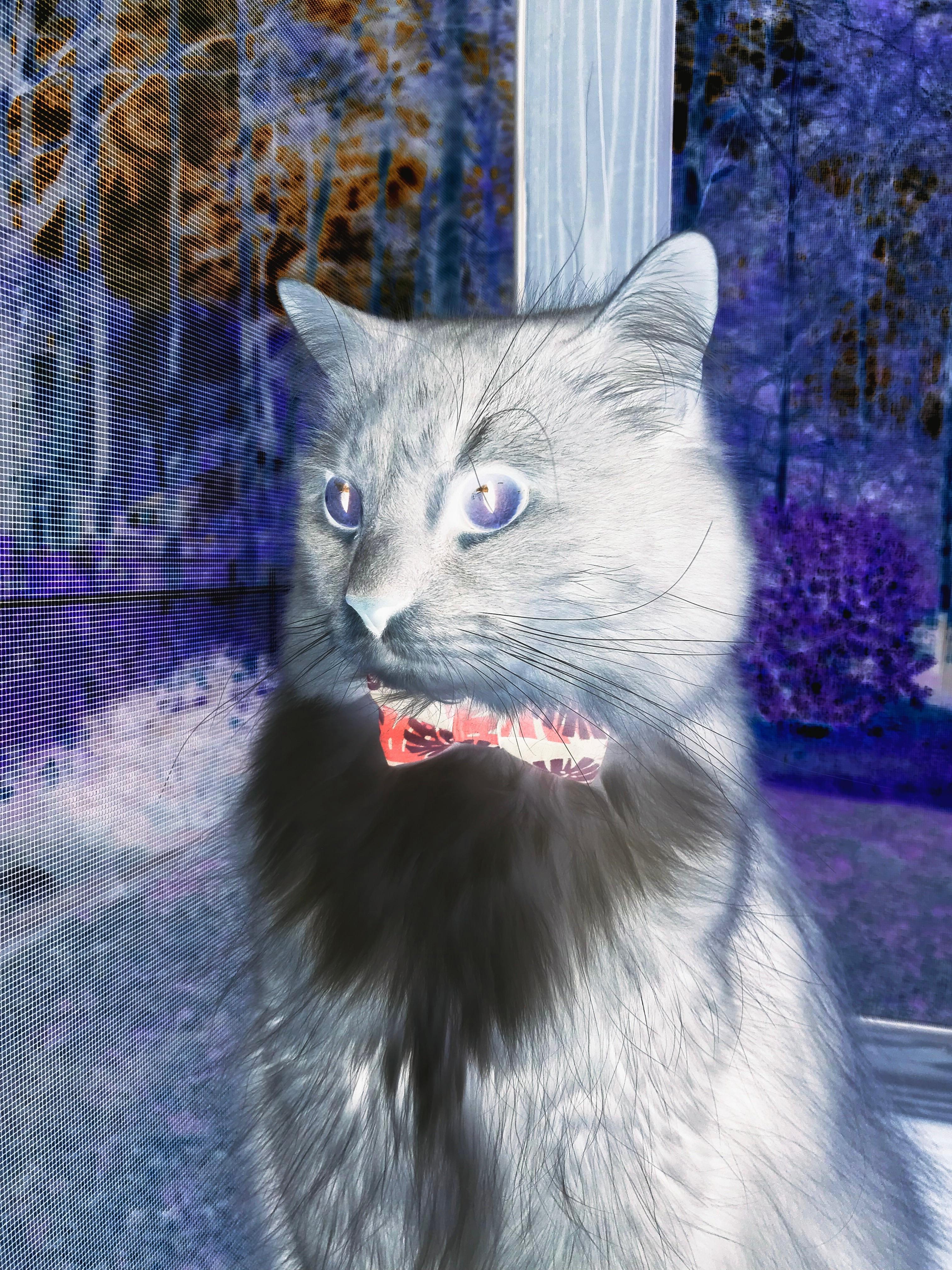 蓝领绞肉机，活塞窒息式防守如何肢解雄鹿三巨头