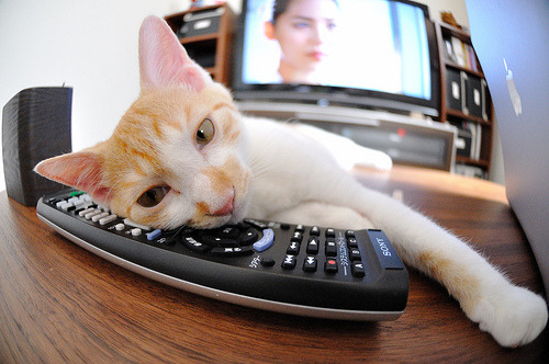 格列兹曼的火焰，突尼斯的星辰，一场友谊赛如何成为小国足球的加冕礼