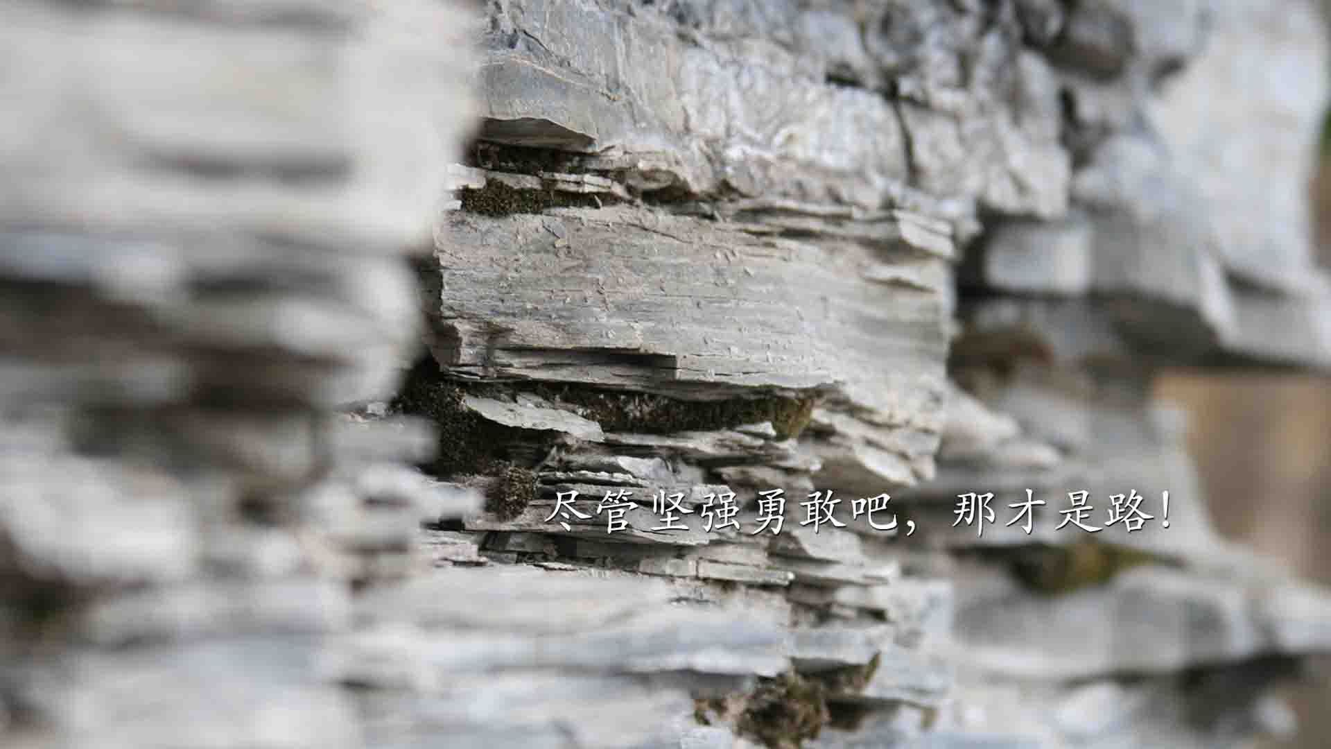唯一看点!2026世界杯A组双线告捷,塞尔维亚铁骑碾压伊朗,福登妙手定乾坤
