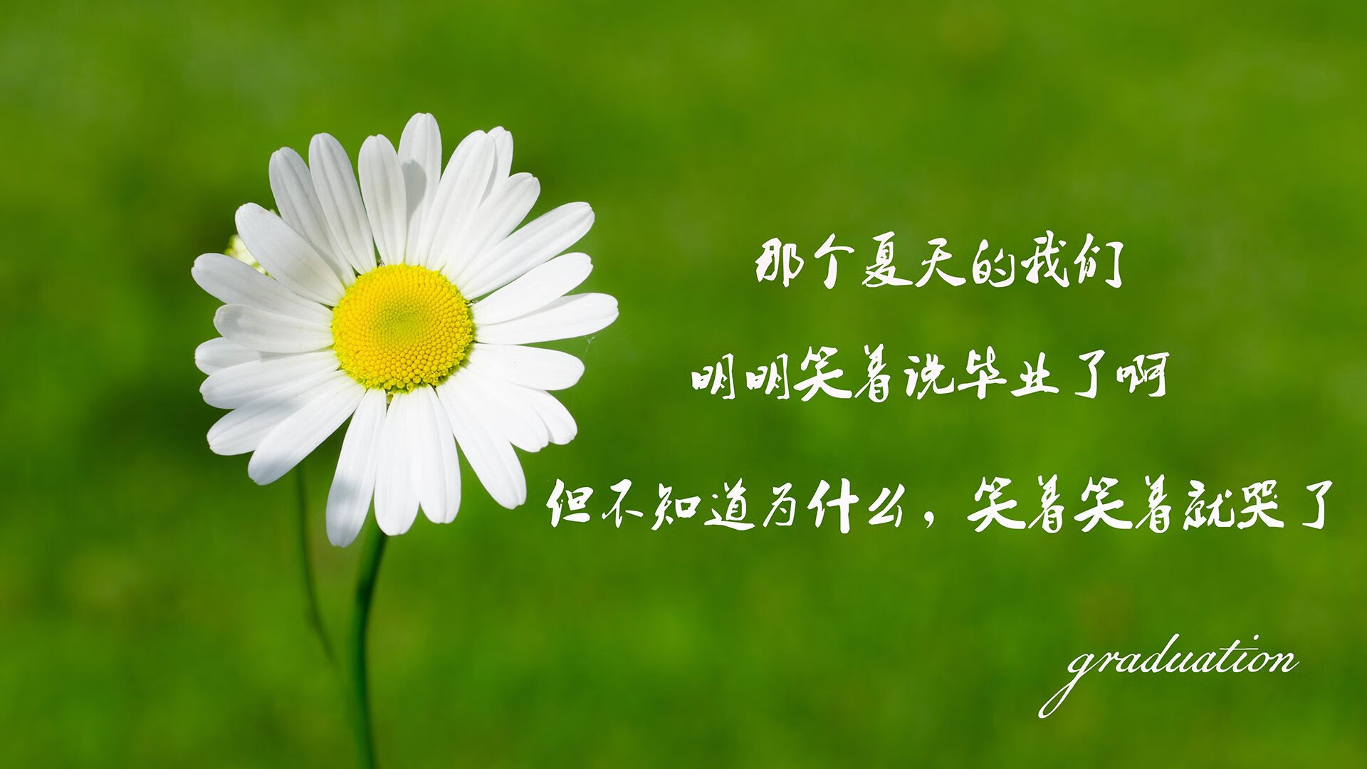 冰与火之歌，2026世界杯G组唯一性解读—三笘薰的关键作用与全场压制