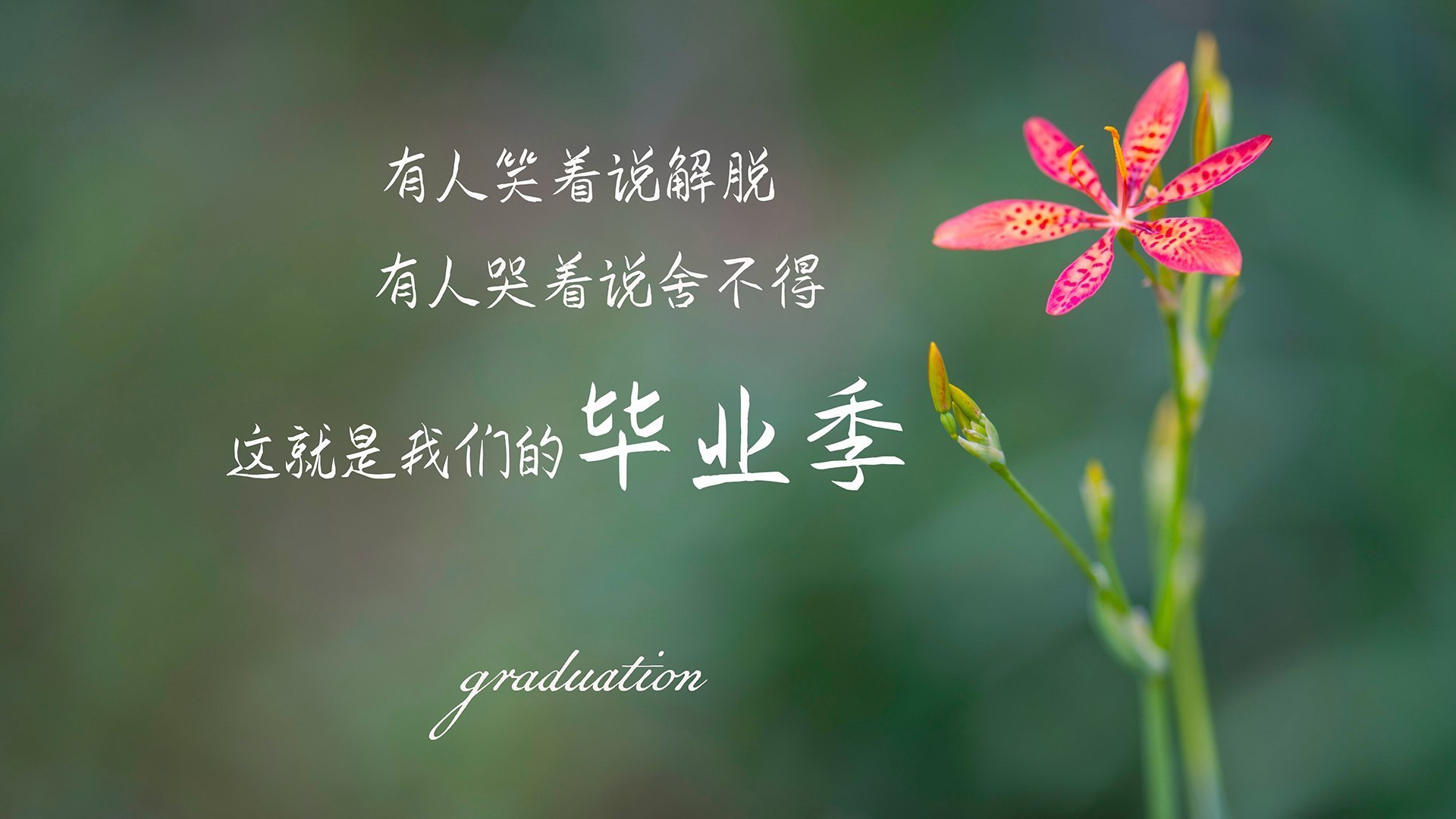 当宿命成为注脚,福登的瞬间如何颠覆G组权力天平