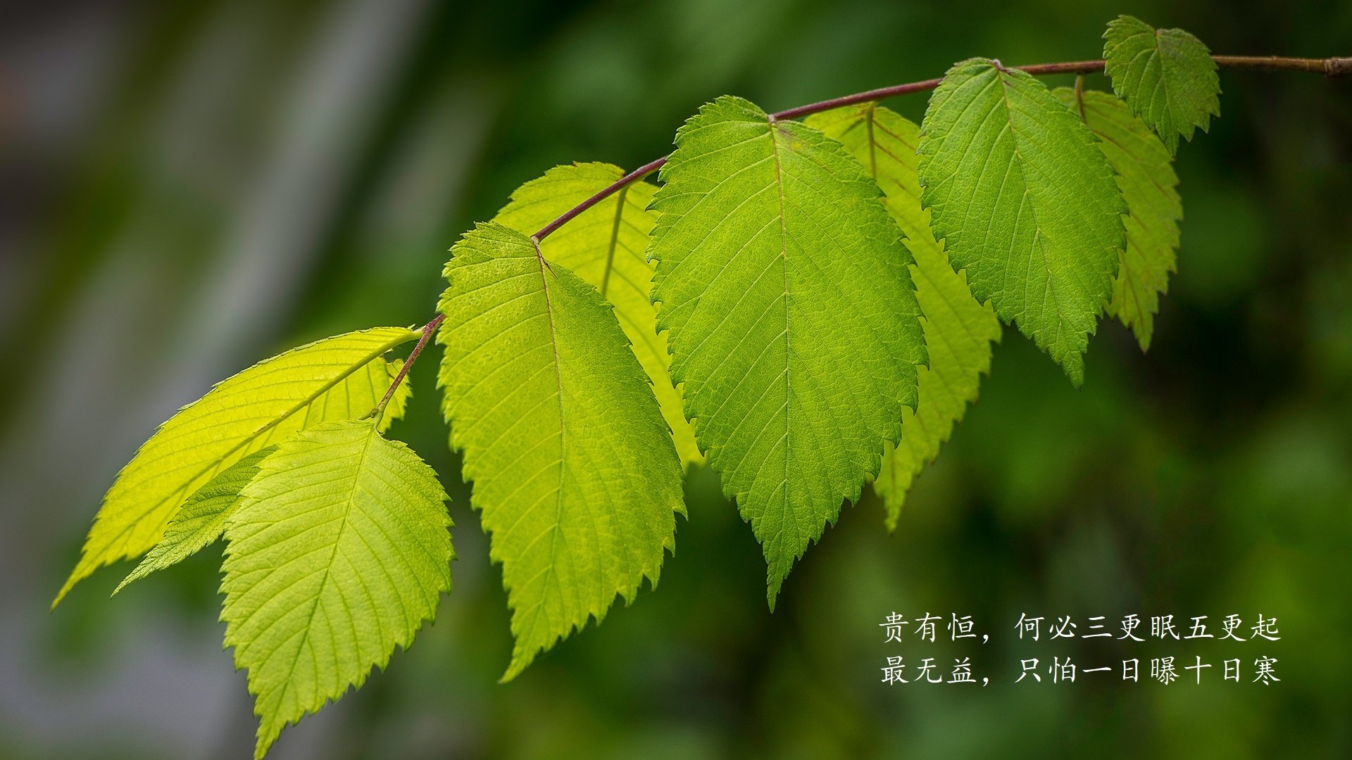 深度特稿死亡之组的双面剧本,当泰国奇迹撞上梅西的孤勇,D组在分裂中诞生唯一的神谕