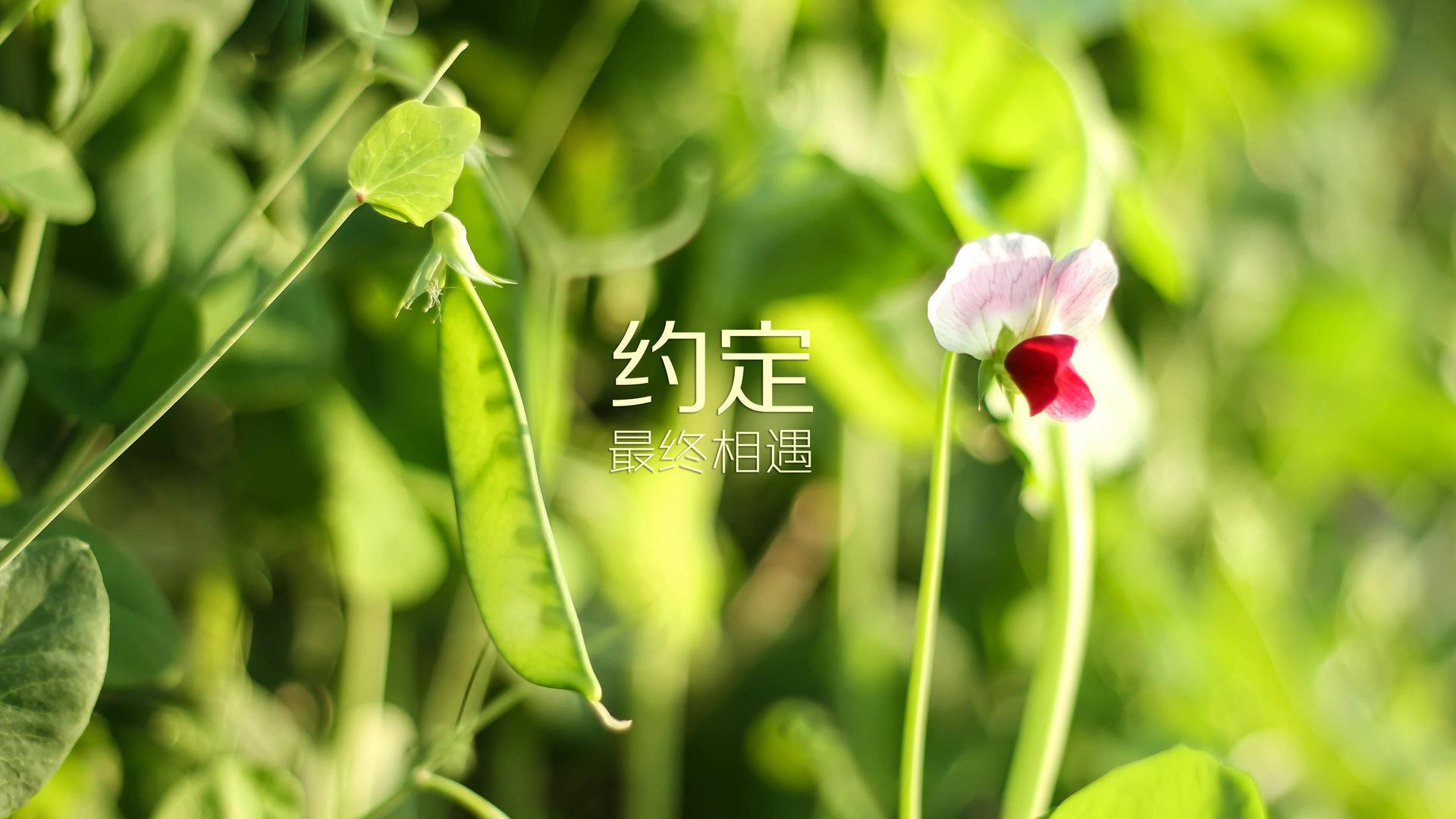 让我先为你构思一个独特而震撼的标题,然后展开这唯一性的故事
