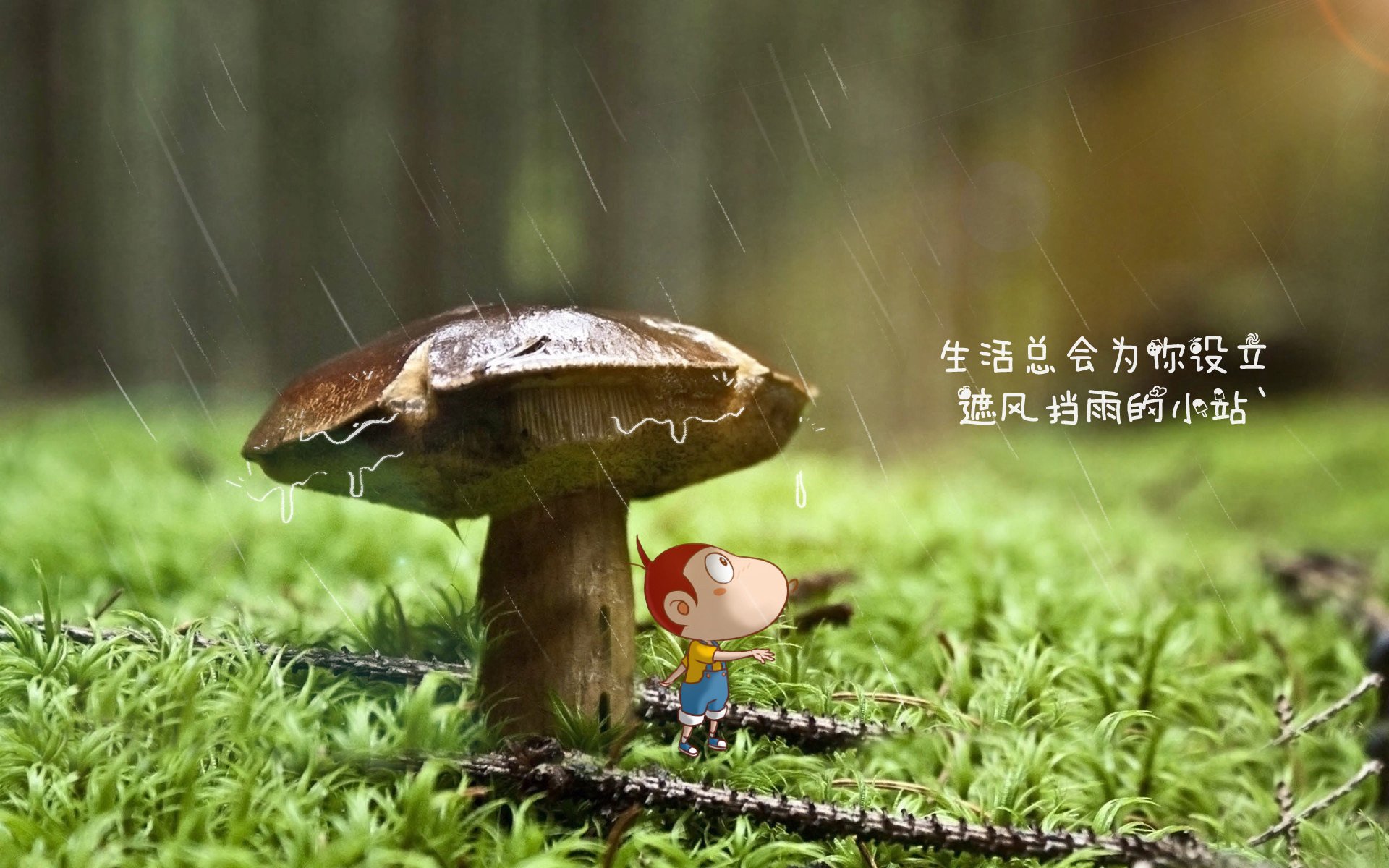 铁幕下的艺术盛宴，当高卢雄鸡用碾压诠释足球美学